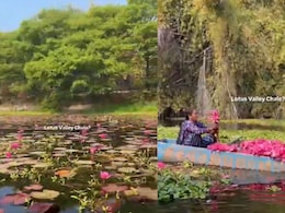 'I Had No Idea This Existed,' Anand Mahindra Shares A Hidden Pink Paradise Near Indore
