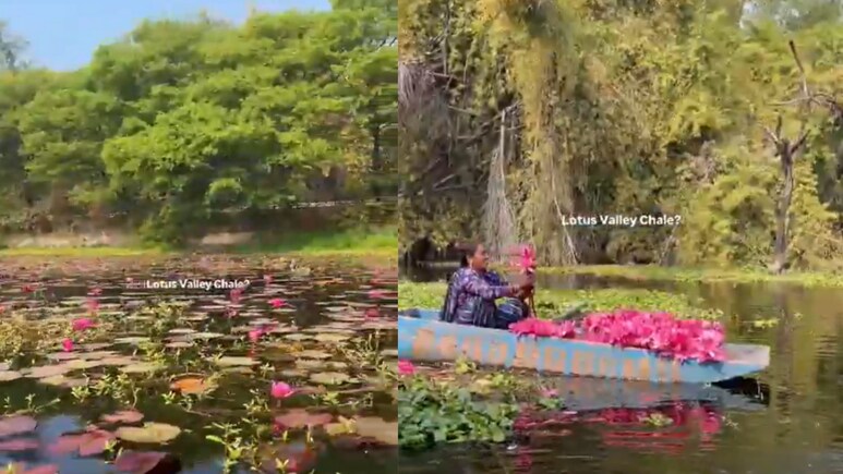 'I Had No Idea This Existed,' Anand Mahindra Shares A Hidden Pink Paradise Near Indore