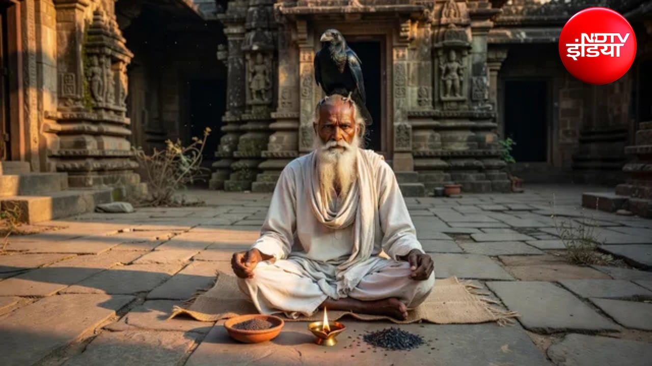 सिर पर कौवा बैठना शुभ या अशुभ? शकुन शास्त्र में माना गया है बड़ा संकेत, जानें क्या करें तुरंत