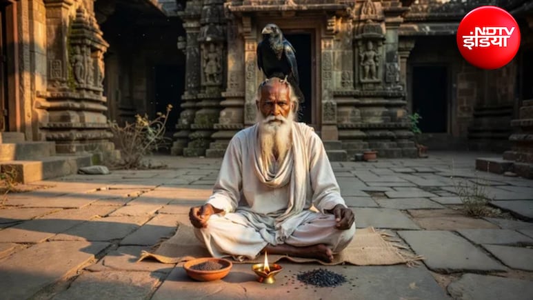 सिर पर कौवा बैठना शुभ या अशुभ? शकुन शास्त्र में माना गया है बड़ा संकेत, जानें क्या करें तुरंत