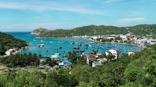 Indian Billionaire Family To Host Rs 47 Crore Wedding In Vietnam With 1,400 Guests