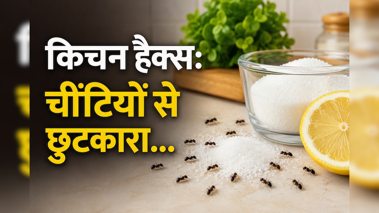 खाना रखते ही लग जाती हैं चींटियां? खाने को बचाने के लिए अपनाएं ये किचन हैक्स