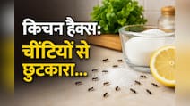 खाना रखते ही लग जाती हैं चींटियां? खाने को बचाने के लिए अपनाएं ये किचन हैक्स