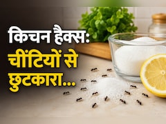 खाना रखते ही लग जाती हैं चींटियां? खाने को बचाने के लिए अपनाएं ये किचन हैक्स