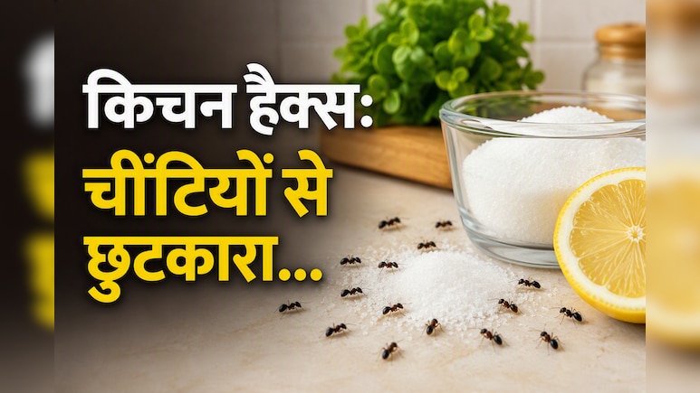खाना रखते ही लग जाती हैं चींटियां? खाने को बचाने के लिए अपनाएं ये किचन हैक्स