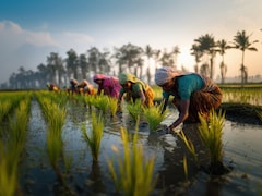 Rice Prices Surge Across India As Weak Monsoon, Tight Supplies Push Up Costs