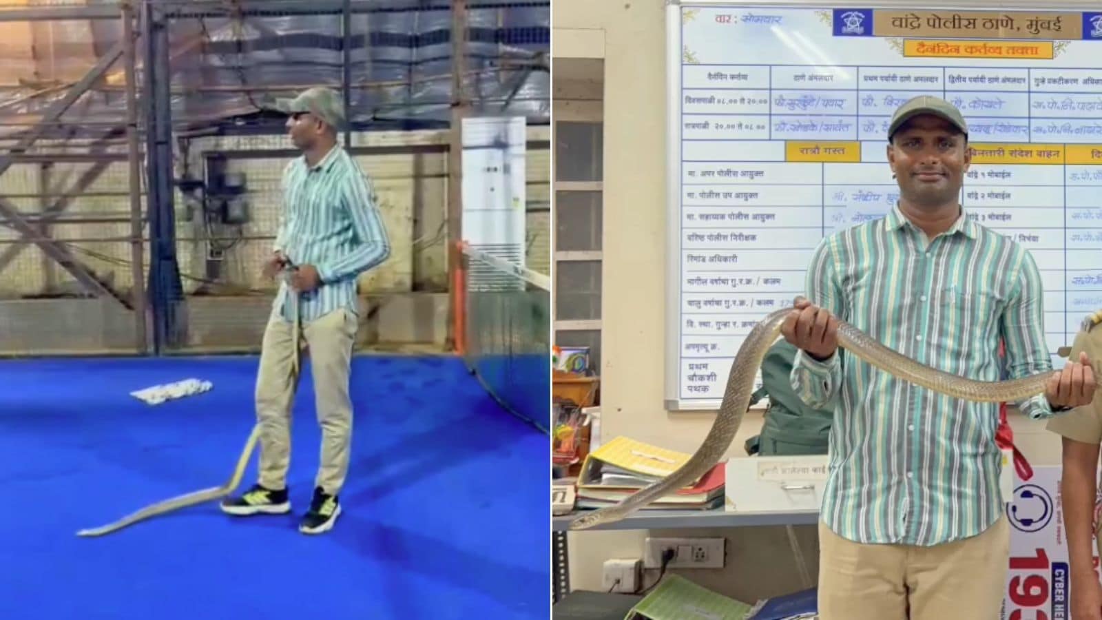 शाहरुख खान के बंगले 'मन्नत' में मिला 8 फुट लंबा सांप, रेस्क्यू ऑपरेशन चलाया गया