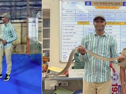 8-Foot Snake Rescued From Shah Rukh Khan's Mannat
