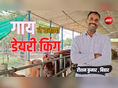 Success Story: मां को हुआ कैंसर, जमीन रखी गिरवी, फिर एक गाय ने बदल दी पूरी जिंदगी