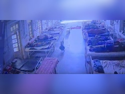 Jewellery Goes Missing From Hospital. CCTV Shows Dog Took It Away