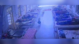 Jewellery Goes Missing From Hospital. CCTV Shows Dog Took It Away