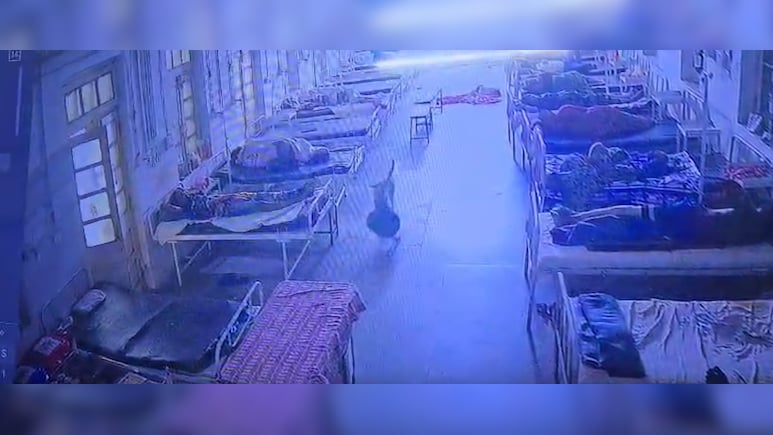 Jewellery Goes Missing From Hospital. CCTV Shows Dog Took It Away