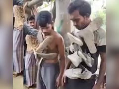 चोरी की इस सजा को देख याद आ जाएगी...फिल्म 'शोले', जैसे गब्बर ने बसंती को दी थी सजा, वीडियो वायरल
