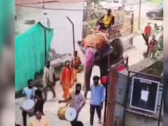 इंजीनियर साहब का 'शाही' अंदाज, हाथी पर सवार होकर पहुंचे दफ्तर, नोटों की गड्डियों जैसा काटा केक