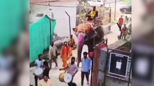 इंजीनियर साहब का 'शाही' अंदाज, हाथी पर सवार होकर पहुंचे दफ्तर, नोटों की गड्डियों जैसा काटा केक