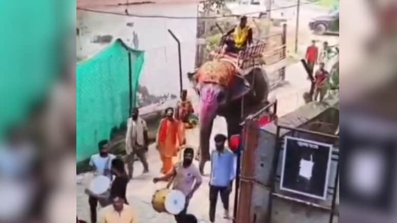 इंजीनियर साहब का 'शाही' अंदाज, हाथी पर सवार होकर पहुंचे दफ्तर, नोटों की गड्डियों जैसा काटा केक, कर्मचारियों ने बरसाए फूल