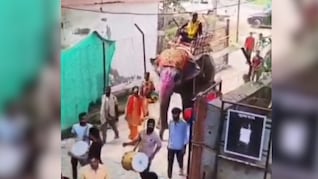 इंजीनियर साहब का 'शाही' अंदाज, हाथी पर सवार होकर पहुंचे दफ्तर, नोटों की गड्डियों जैसा काटा केक