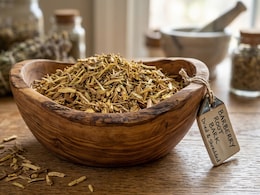 "Nature's Ozempic" Exposed: Does Barberry Bark Really Help You Lose Weight?