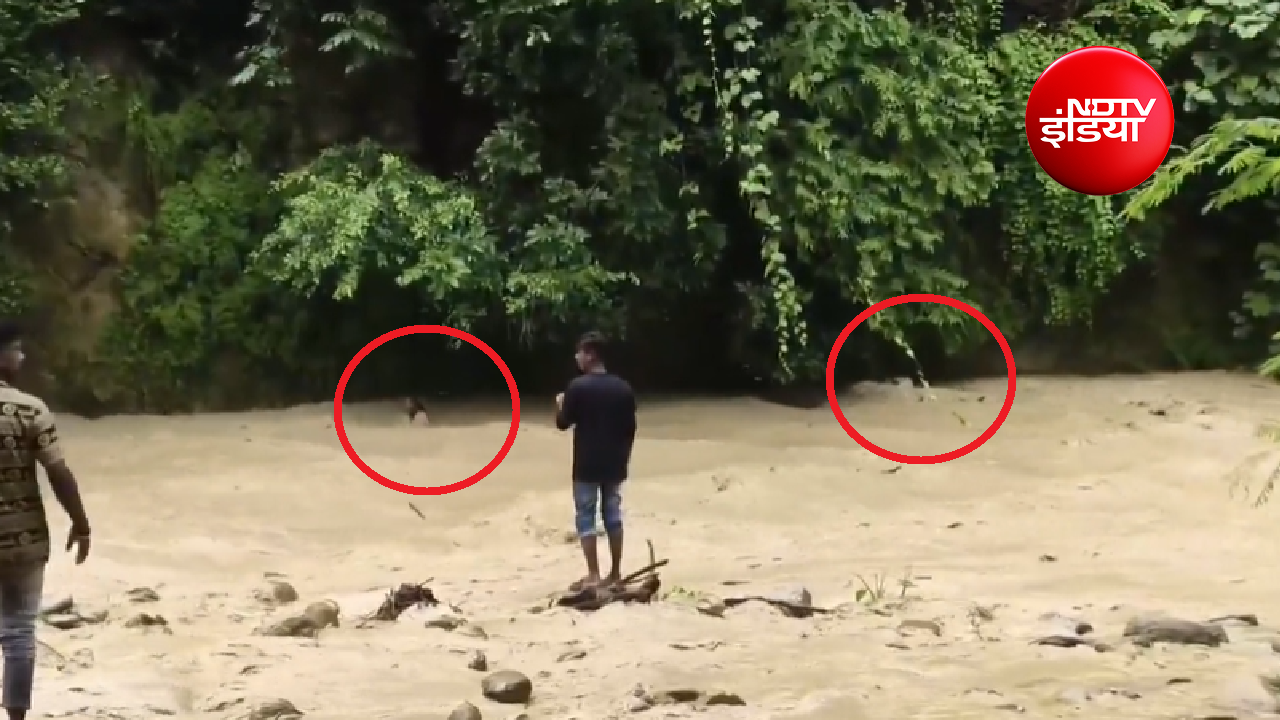यूपी में एक सेल्फी ने दो लोगों की जान खतरे में डाली; अचानक आए सैलाब में फंसे श्रद्धालुओं का वीडियो वायरल