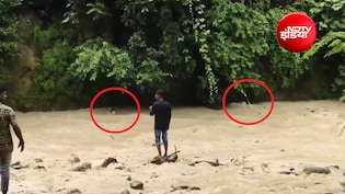 यूपी में एक सेल्फी ने दो लोगों की जान खतरे में डाली; अचानक आए सैलाब में फंसे श्रद्धालुओं का वीडियो वायरल