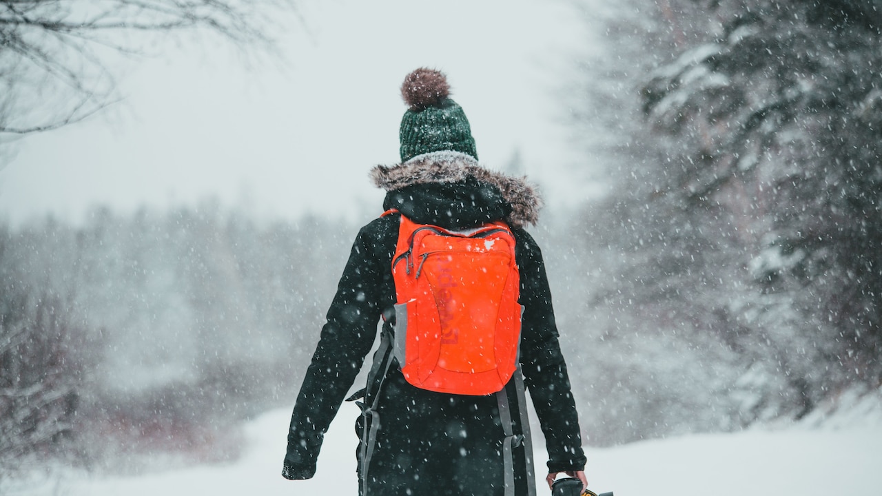 Which backpack do you want to grab today from Myntra Right To Fashion Sale? Which backpack do you want to grab today from Myntra Right To Fashion Sale?