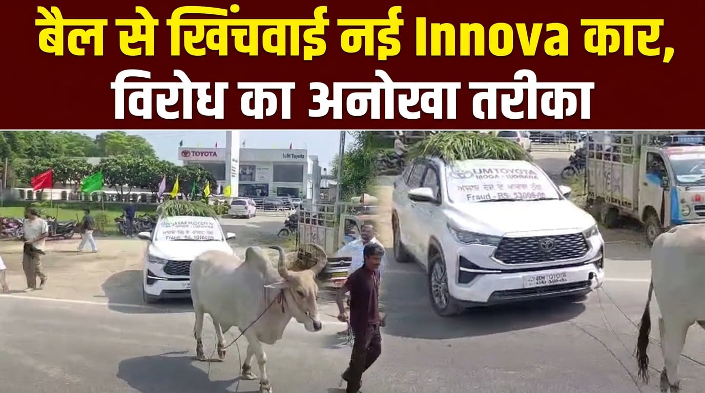 इनोवा की RC न बनने से परेशान ग्राहक का अनोखा विरोध, बैल से खिंचवाई नई कार