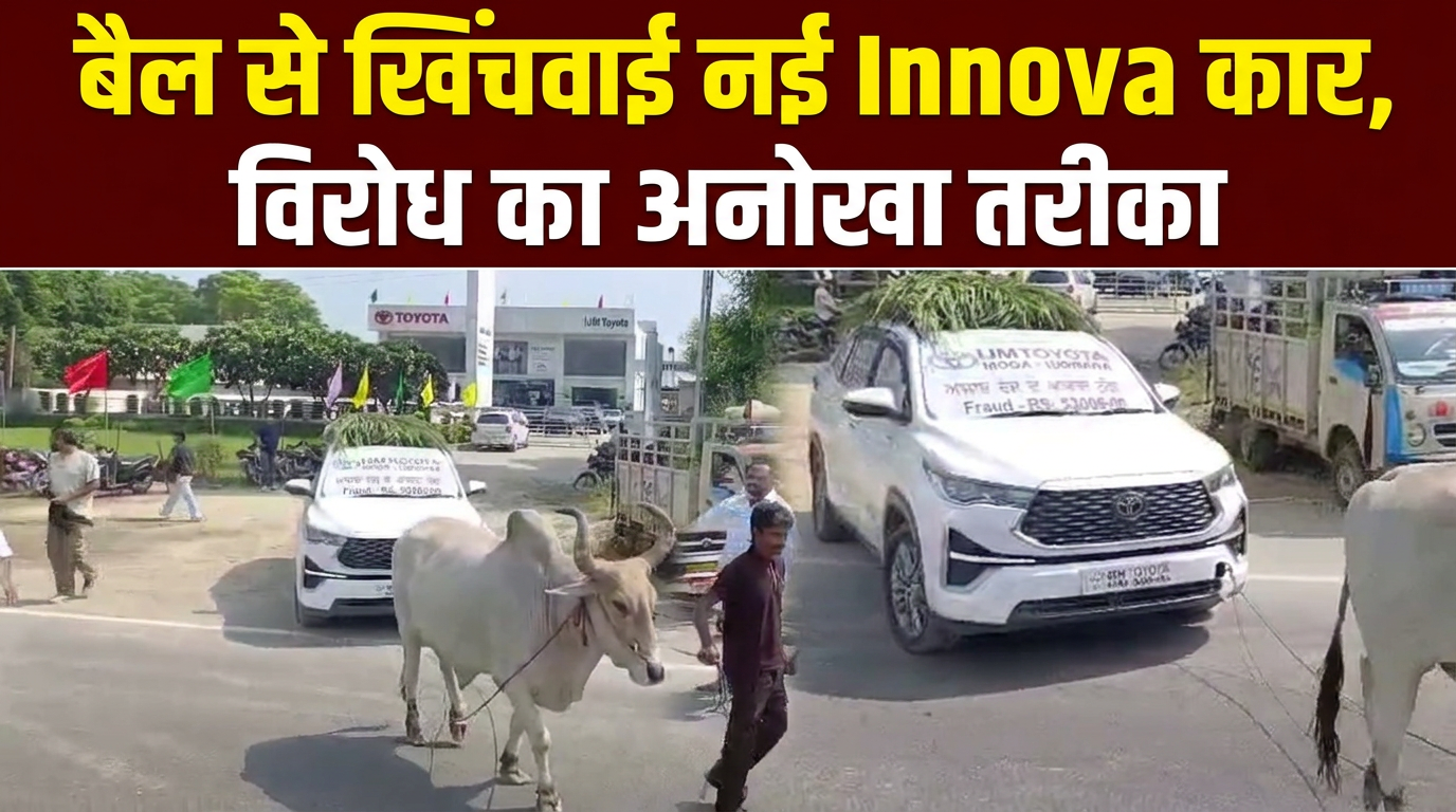 इनोवा की RC न बनने से परेशान ग्राहक का अनोखा विरोध, बैल से खिंचवाई नई कार