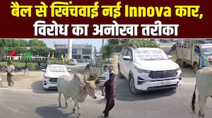 इनोवा की RC न बनने से परेशान ग्राहक का अनोखा विरोध, बैल से खिंचवाई नई कार