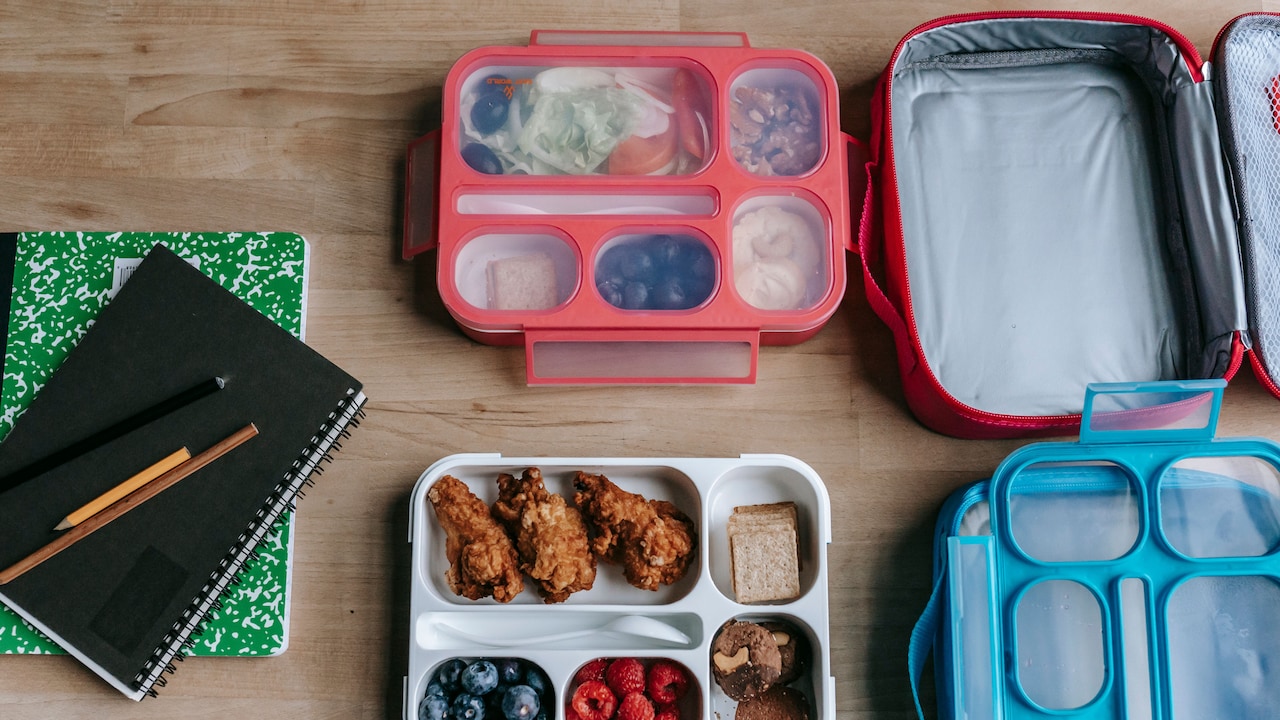 Insulated food jars that dont leak curries in your school backpack Insulated food jars that dont leak curries in your school backpack