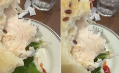 Video: Live Worm Found In Sandwich At Posh Gurugram Restaurant