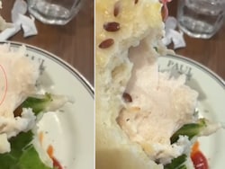 Video: Live Worm Found In Sandwich At Posh Gurugram Restaurant