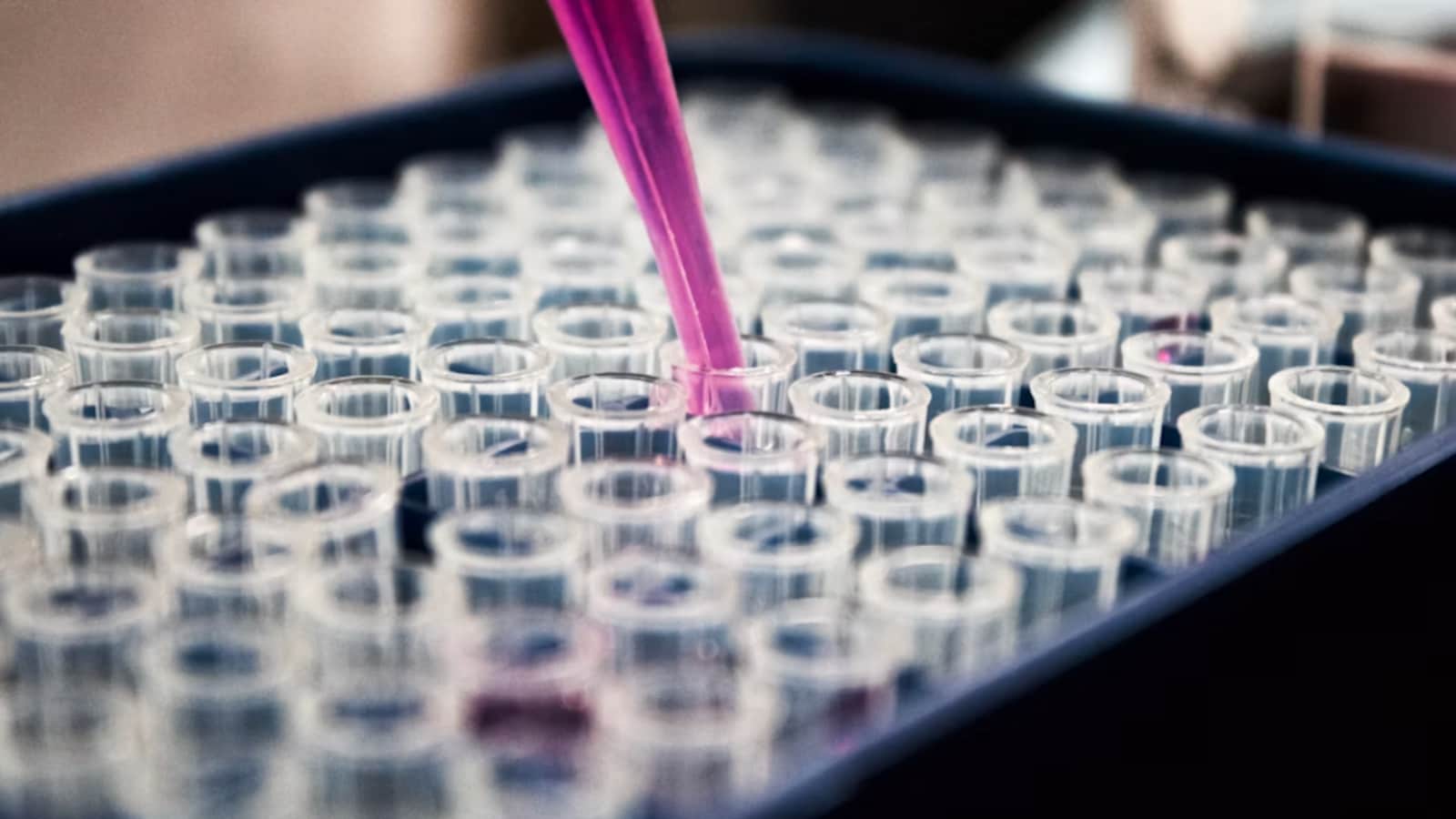 Panic At MIT After Student Creates One Of The World's Deadliest Chemicals, Hazmat Team Evacuates Lab