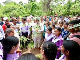 Delhi's Green Drive: Officers Now Accountable For Survival Of 1 Lakh Saplings