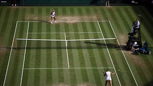 "Discriminatory, Harmful": Controversy Over Tennis Body's Move To Do Gender Tests On Female Players