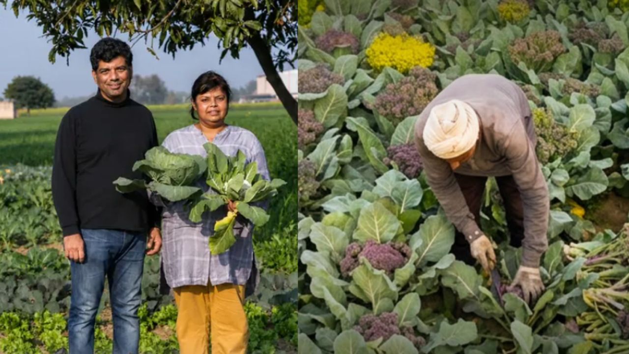 A Health Scare Made This Delhi Couple Build 15-Acre Organic Farming Business