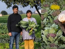 How A Health Scare Made This Delhi Couple Build A 15-Acre Organic Farming Business