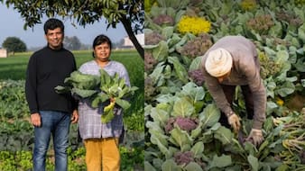 A Health Scare Made This Delhi Couple Build 15-Acre Organic Farming Business