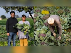 How A Health Scare Made This Delhi Couple Build A 15-Acre Organic Farming Business