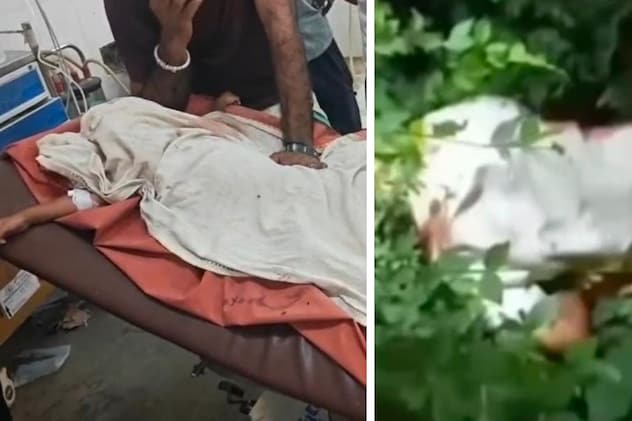 मां के सामने से 3 साल के बच्चे को उठा ले गया तेंदुआ, गुस्साए ग्रामीणों ने वन चौकी में लगाई आग