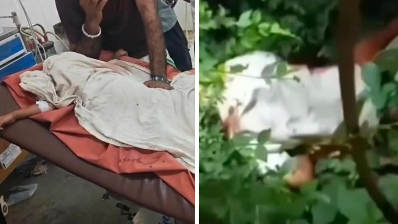 मां के सामने से 3 साल के बच्चे को उठा ले गया तेंदुआ, गुस्साए ग्रामीणों ने वन चौकी में लगाई आग