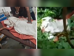 मां के सामने से 3 साल के बच्चे को उठा ले गया तेंदुआ, गुस्साए ग्रामीणों ने वन चौकी में लगाई आग