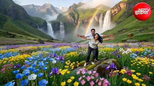 Valley of Flowers: दिल्ली से महज 12 घंटे दूर है फूलों से सजी स्वर्ग सी दुनिया, 500 से ज्यादा तरह के फूल देखना है तो कैसे पहुंचें वैली