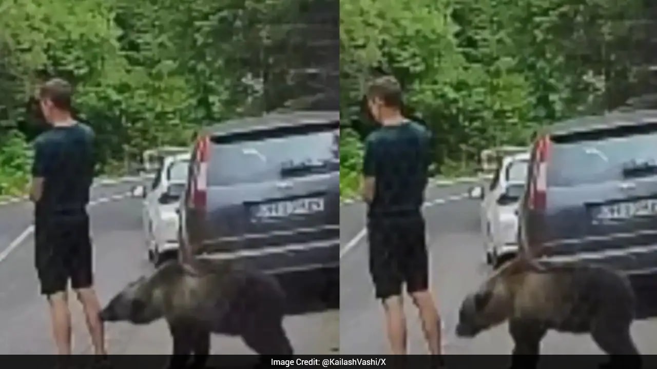 Man Freezes As Bear Sniffs His Leg Before Suddenly Biting Him In Romania
