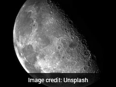 Earth Microbes May Survive On Moon's South Pole, NASA Study Finds