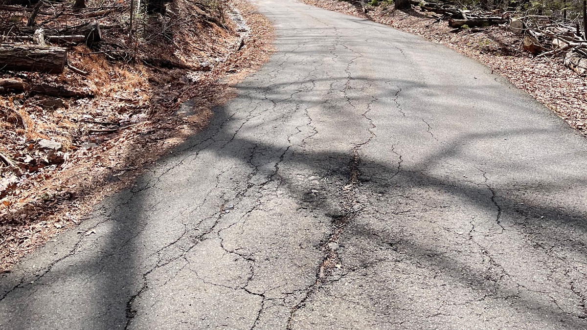 AI Detect Pothole on Road: सड़क पर दिखा गड्ढा तो सीधे होगी कॉन्ट्रैक्टर की पहचान, AI करेगा सारा काम, बेंगलुरु के इंजीनियर ने बनाया सिस्टम