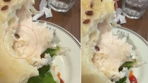 Live Worm Found In Sandwich At Posh Gurugram Restaurant