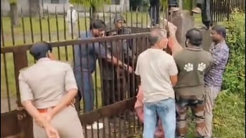 Asiatic Lion Rescued After Getting Trapped In Spiked Gate In Gujarat's Junagadh