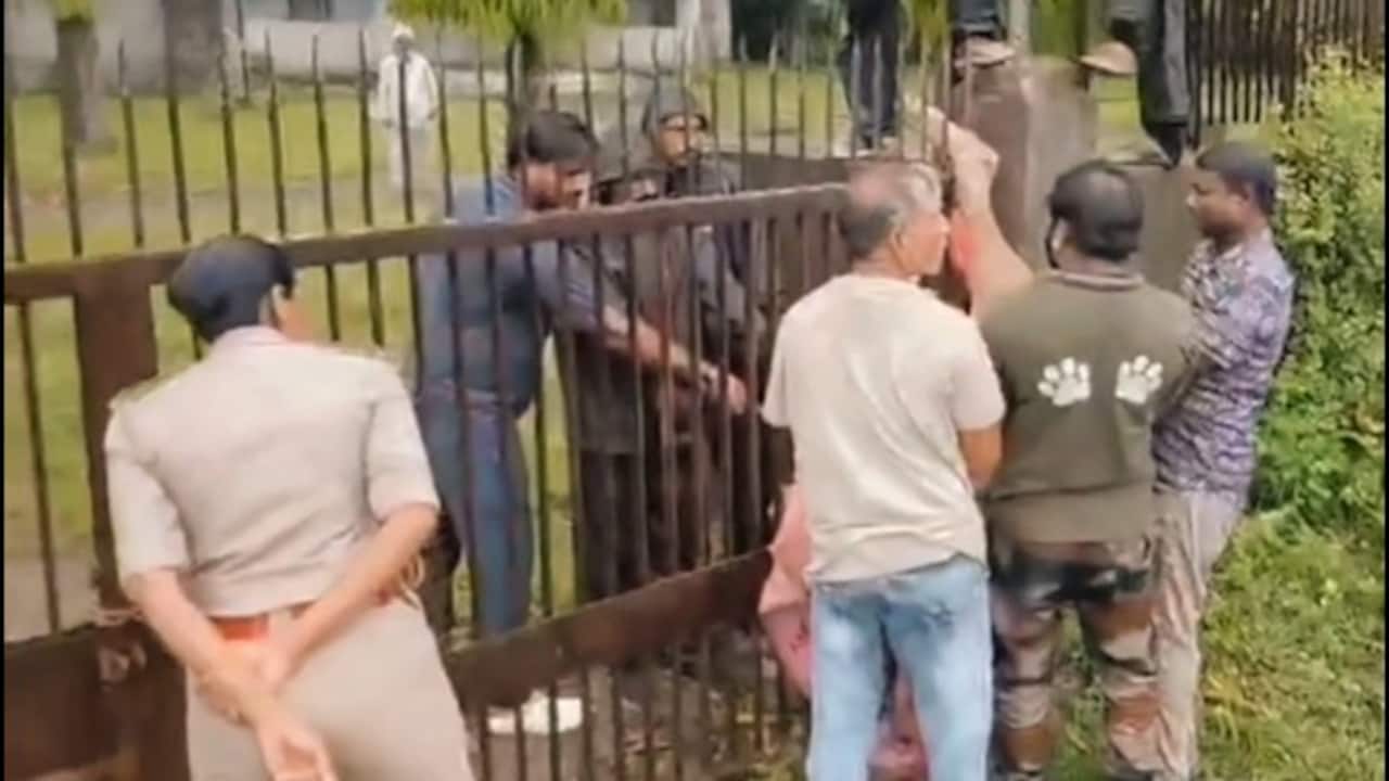 Asiatic Lion Rescued After Getting Trapped In Spiked Gate In Gujarat's Junagadh