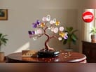 Feng Shui Tips: घर की इस दिशा में रखें Crystal Tree, धन-दौलत और तरक्की के खुल सकते हैं रास्ते