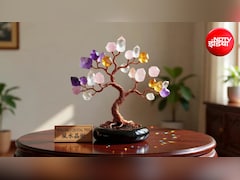 Feng Shui Tips: घर की इस दिशा में रखें Crystal Tree, धन-दौलत और तरक्की के खुल सकते हैं रास्ते
